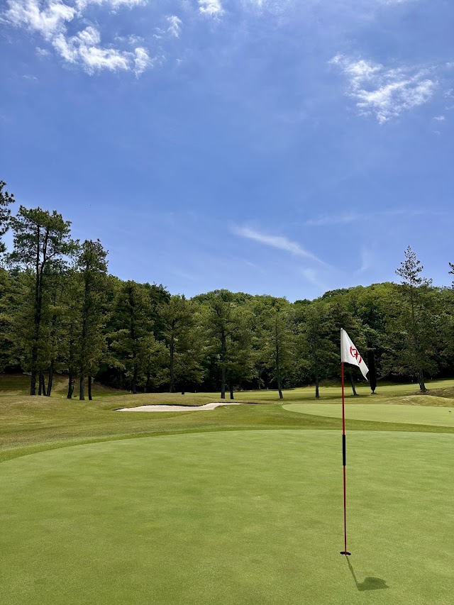 Aome Golf Club - Photo 6