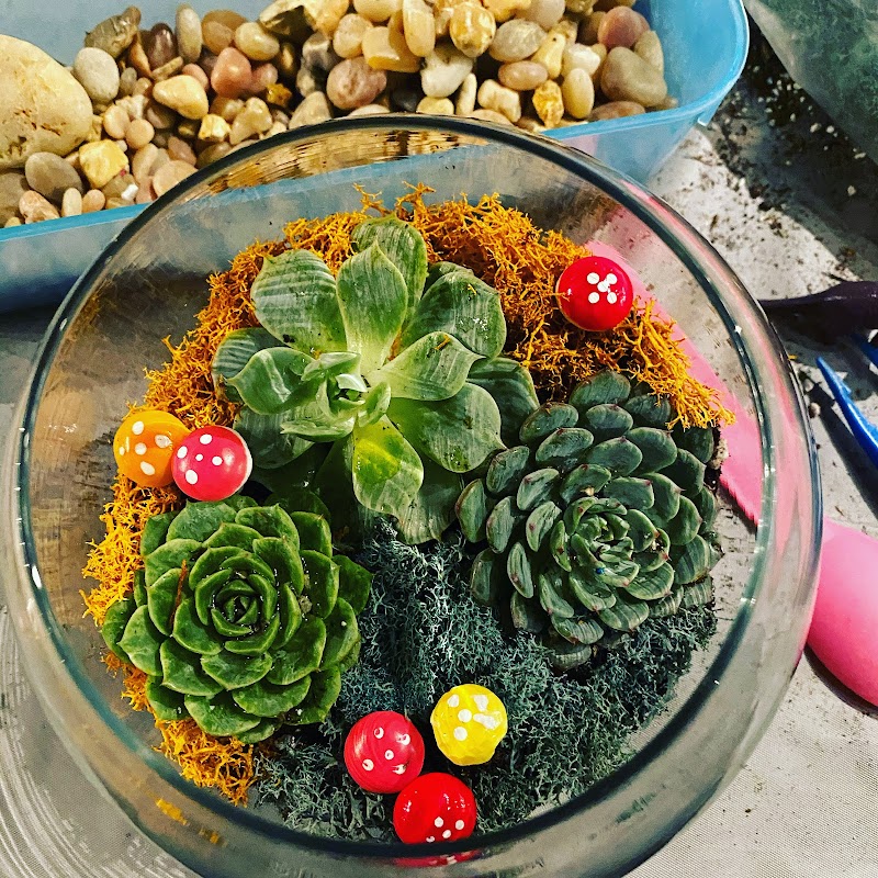 Improper City photo 2