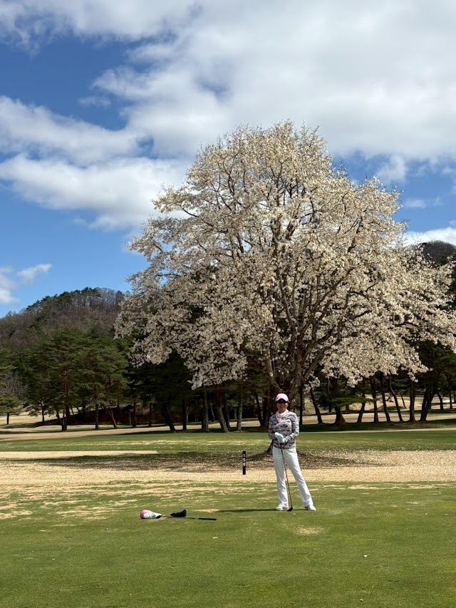 Karuizawa 72 Golf East Course - Photo 6