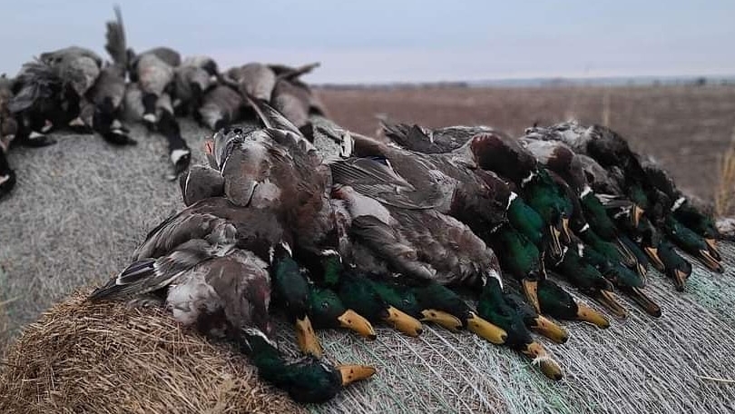 Rise-N-Grind Outfitters