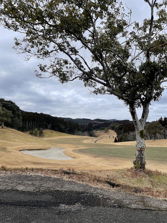 Miyazaki International Airport Country Club - Photo 9
