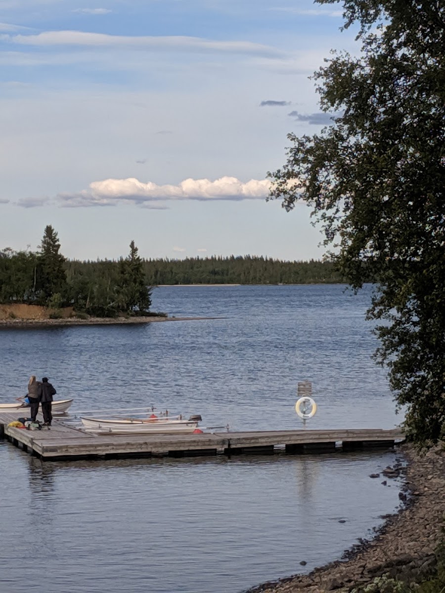 Håkan Westlund