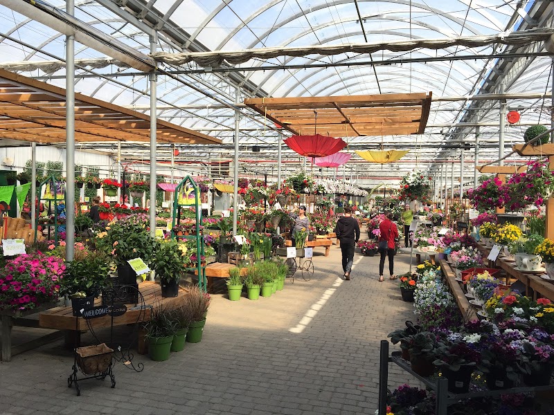 Vanderwees Garden Gallery photo 3