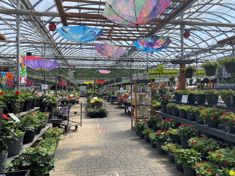 Vanderwees Garden Gallery photo 2