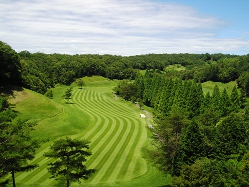 Akira World Country Club - Photo 1