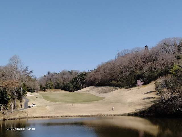 Akira World Country Club - Photo 8