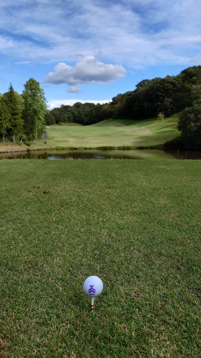 Akira World Country Club - Photo 3