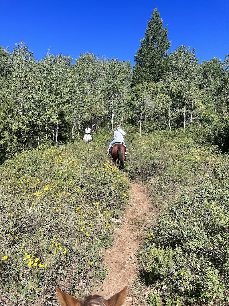 Bagley's Teton Mountain Ranch - Photo 4