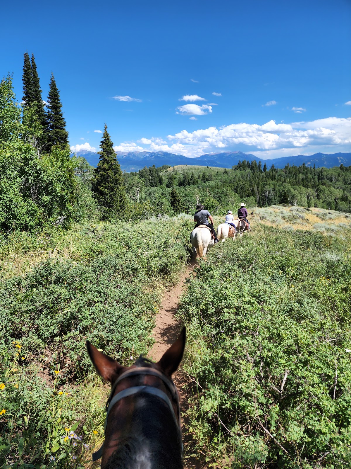 Bagley's Teton Mountain Ranch