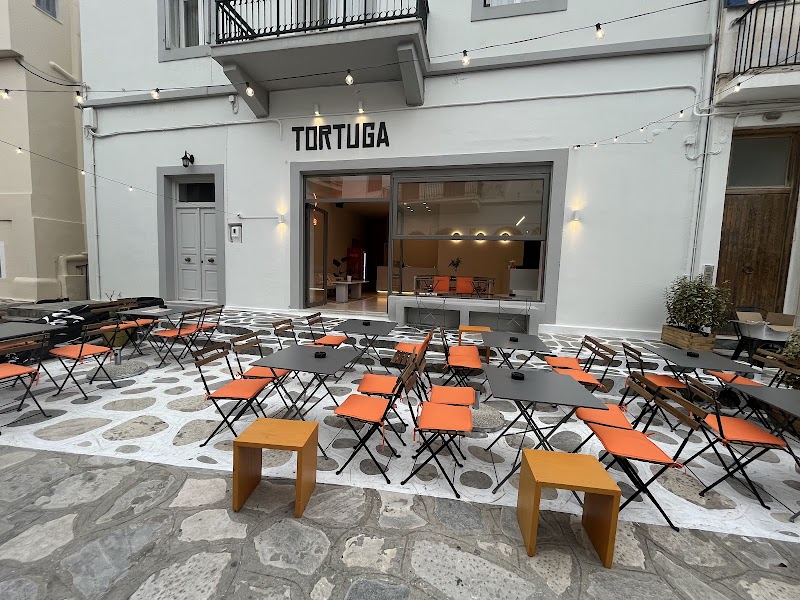 Tortuga Tinos