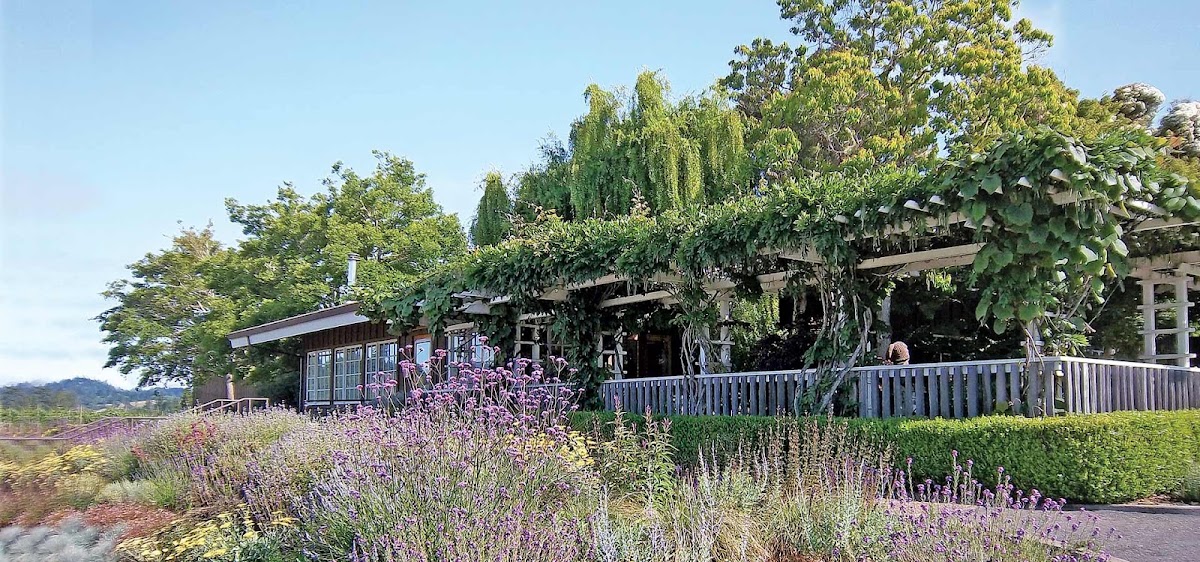 Handley Cellars