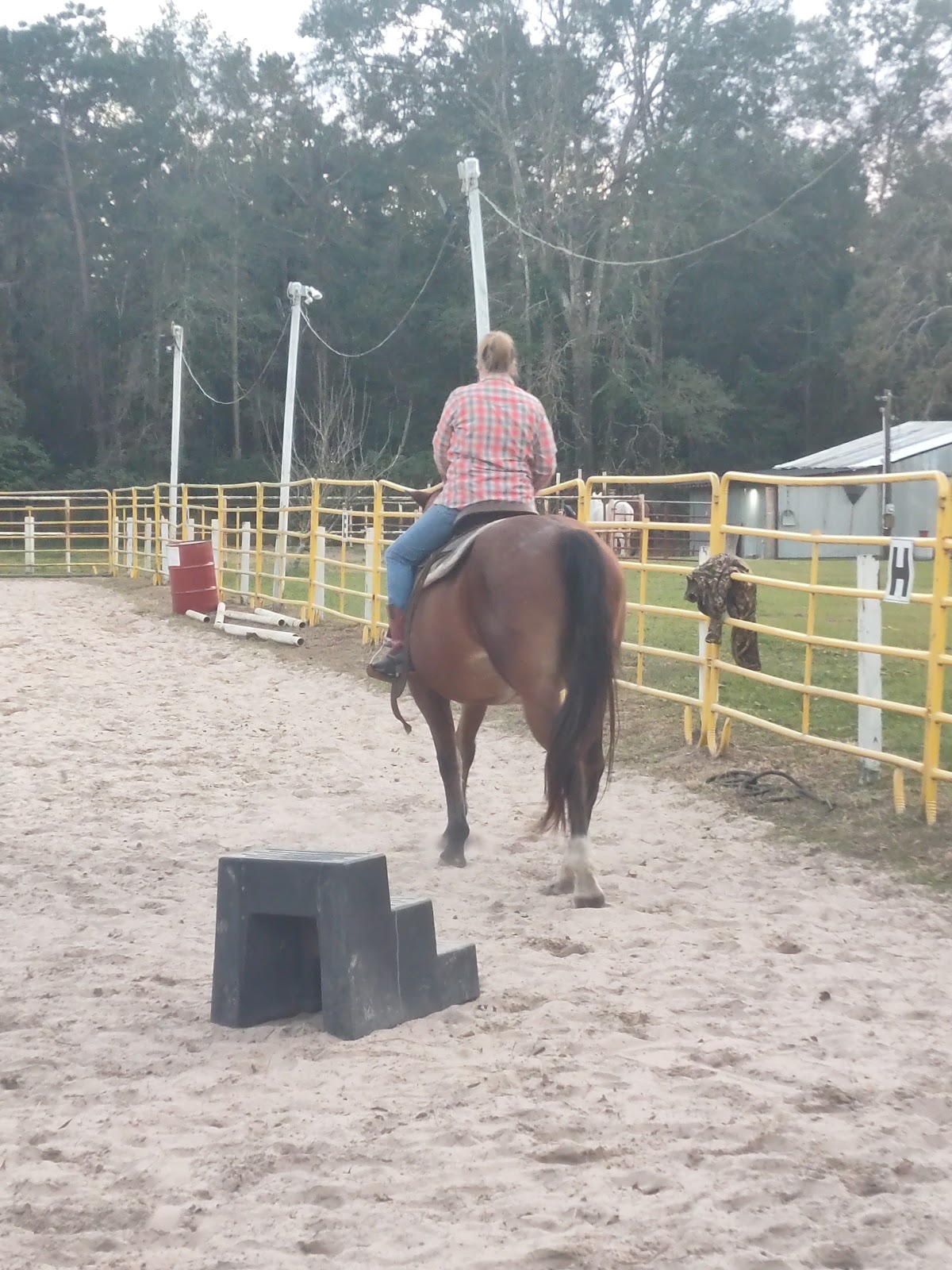 Swany Creek Ranch
