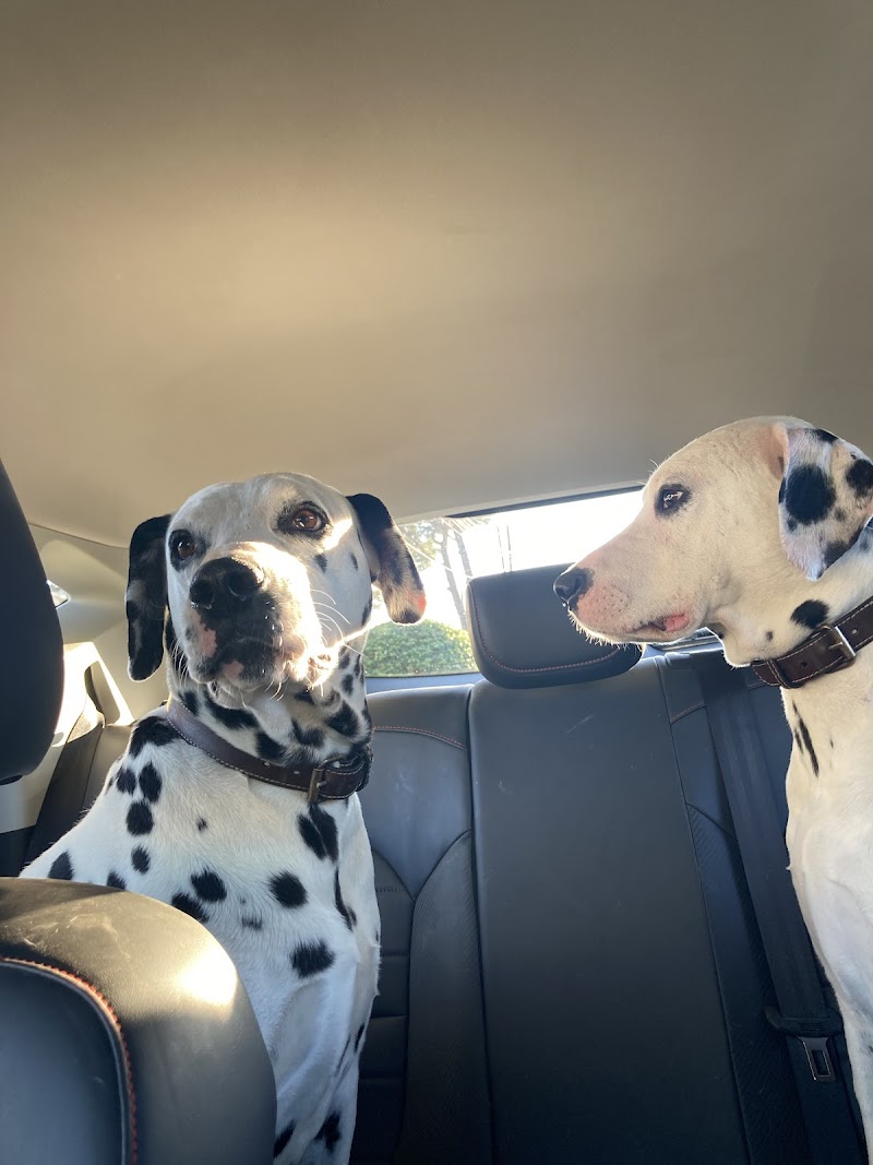 Centre Veterinari Llagostera