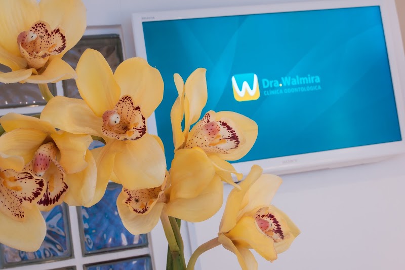 Walmira Clínica Odontológica - Dentistas - Atendimento de Urgência e Emergência - foto 5