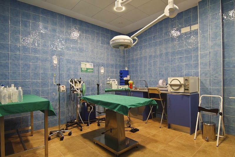 CEVAN (Centro Veterinario Andújar S.L.)