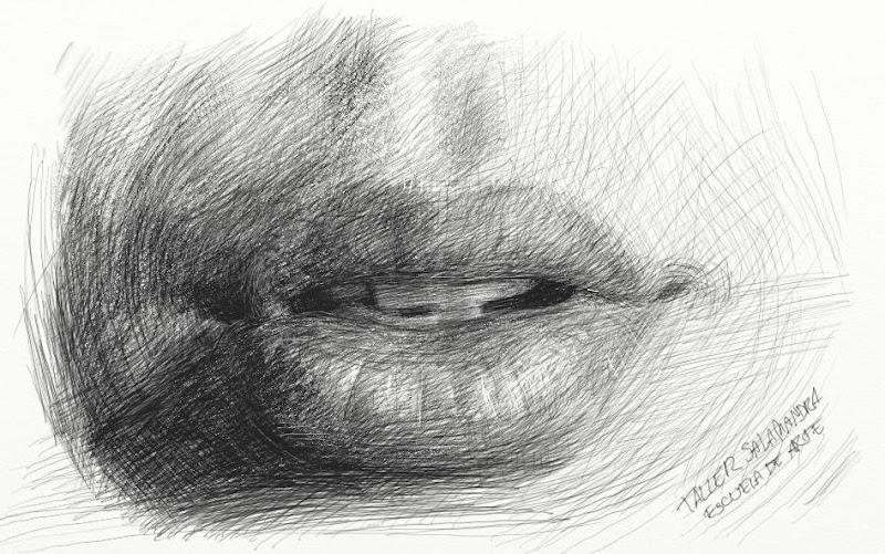 El Taller de la Salamandra Montecarmelo