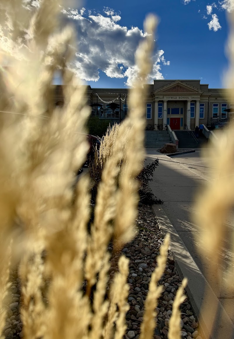 Ivywild School photo 1