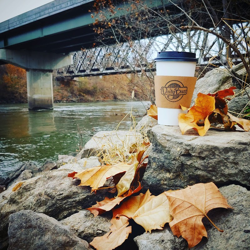 Daily Buzz Coffee Shop photo 2
