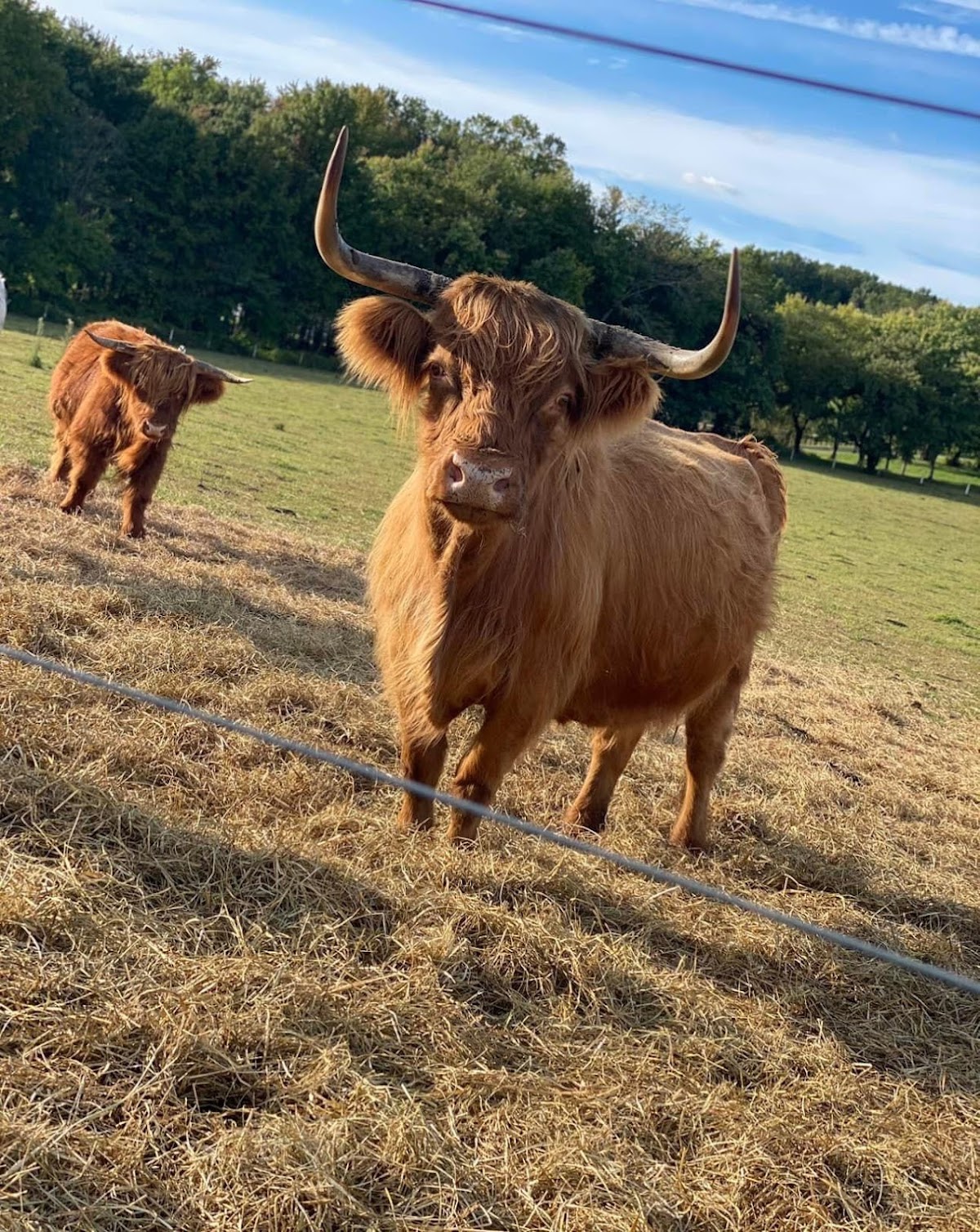 Turner Ranch LLC