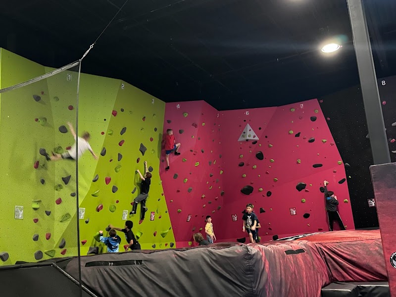 Adrenaline Monkey Adventure Park — Amusement Park in West Dundee