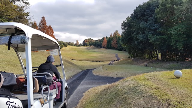 Aino Country Club - Photo 5