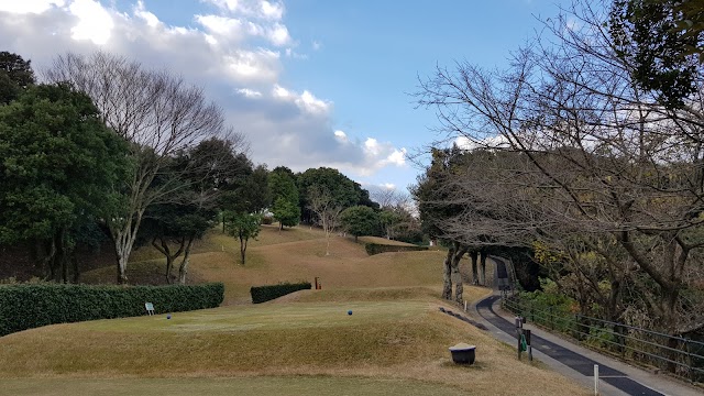 Aino Country Club - Photo 6