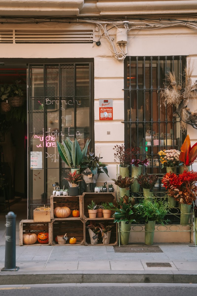 Hoja La | Brunches y Flores