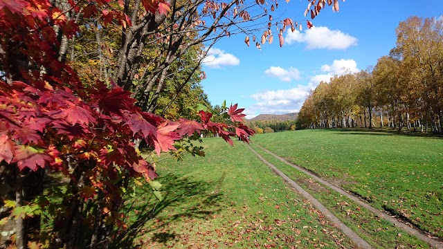 Asahikawa International Country Club Aibetsu Course - Photo 6