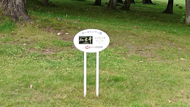 Asahikawa International Country Club Aibetsu Course - Photo 7
