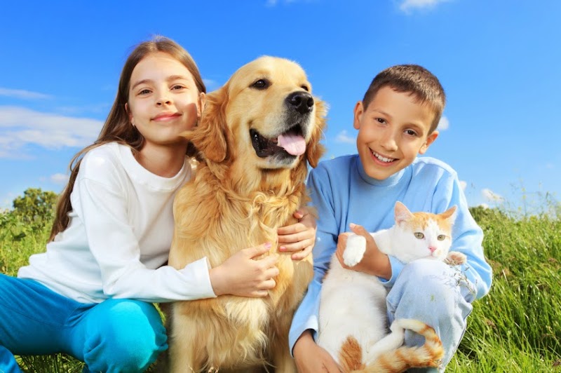 Vets Empordà - Torroella de Montgrí