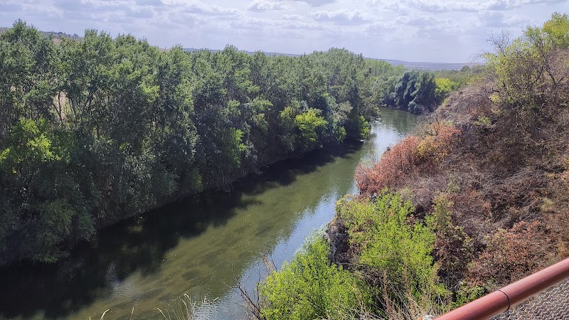 Марков кръст