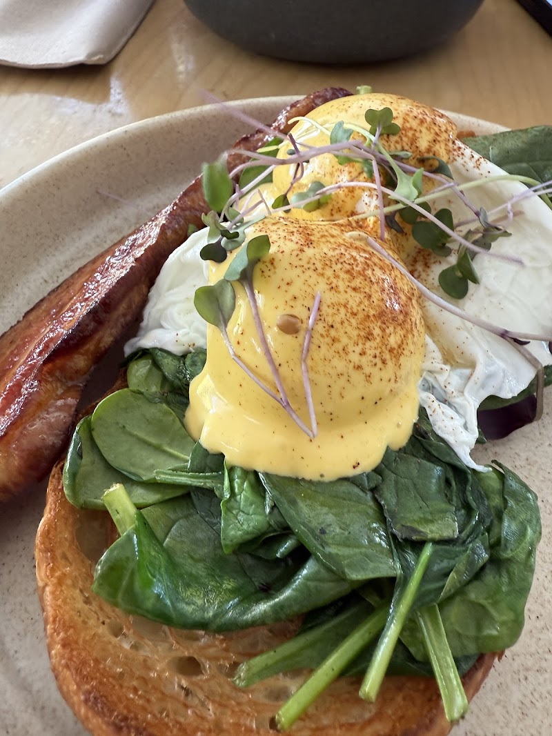 Hey Mr. New Farm photo 5