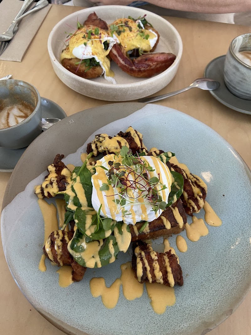 Hey Mr. New Farm photo 6