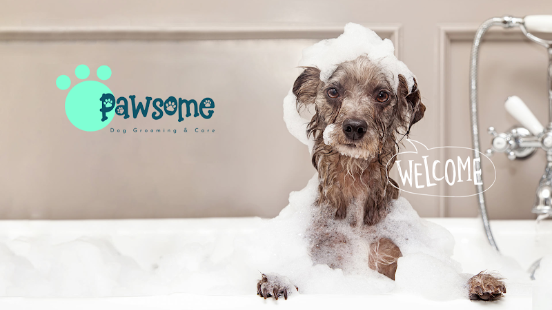 Pawsome Dog Grooming & Care - Κομμωτήριο Σκύλων