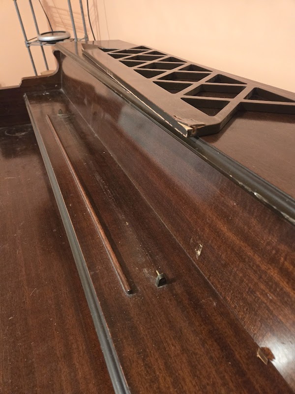 Photo by Kevin Stinson