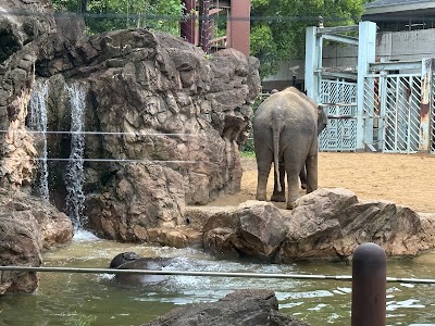 Ueno Zoo - 3