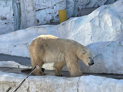 Ueno Zoo - 5