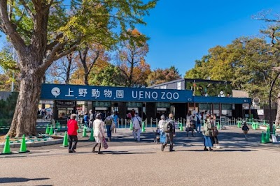 Ueno Zoo - 1