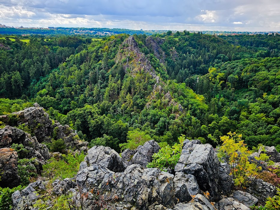 Divoká Šárka fotoğraf 1