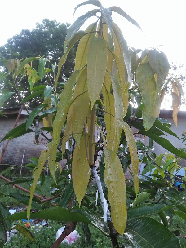 kedai makan kak mah - Photo 1