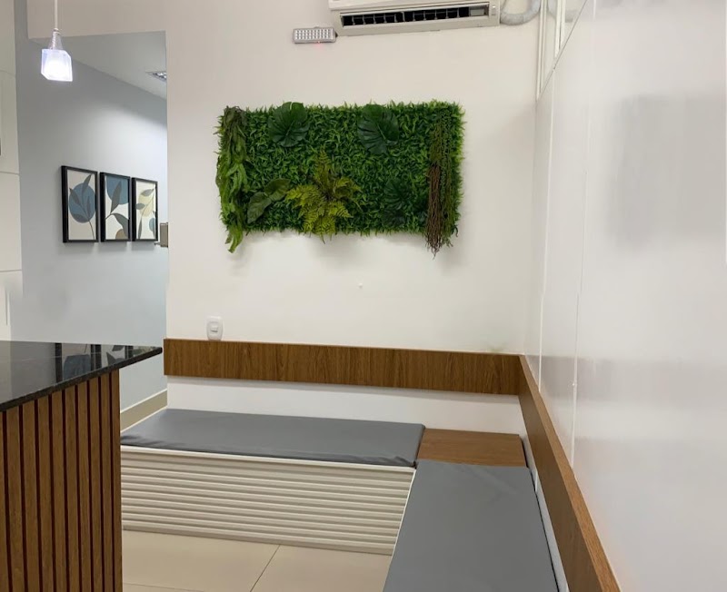 Cirurgião Dentista Dr André Garcia Sepini - foto 4