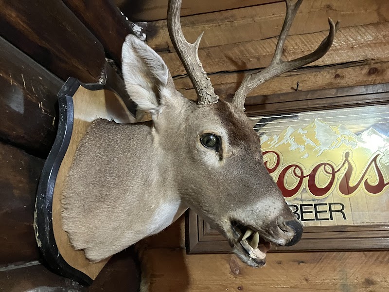 Homestead Ranch | Colorado Trophy Elk Hunts - Photo 1