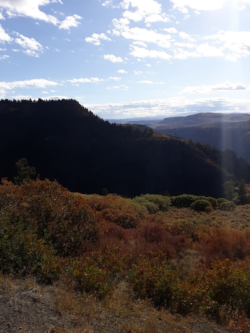 Homestead Ranch | Colorado Trophy Elk Hunts - Photo 4