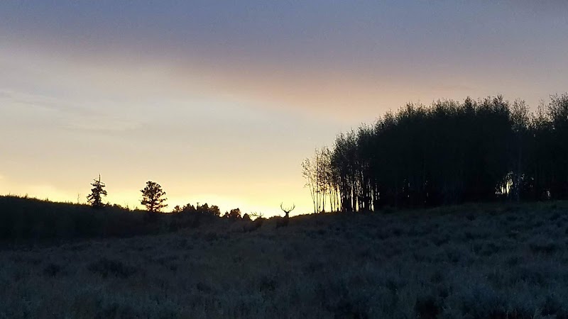 Homestead Ranch | Colorado Trophy Elk Hunts - Photo 6