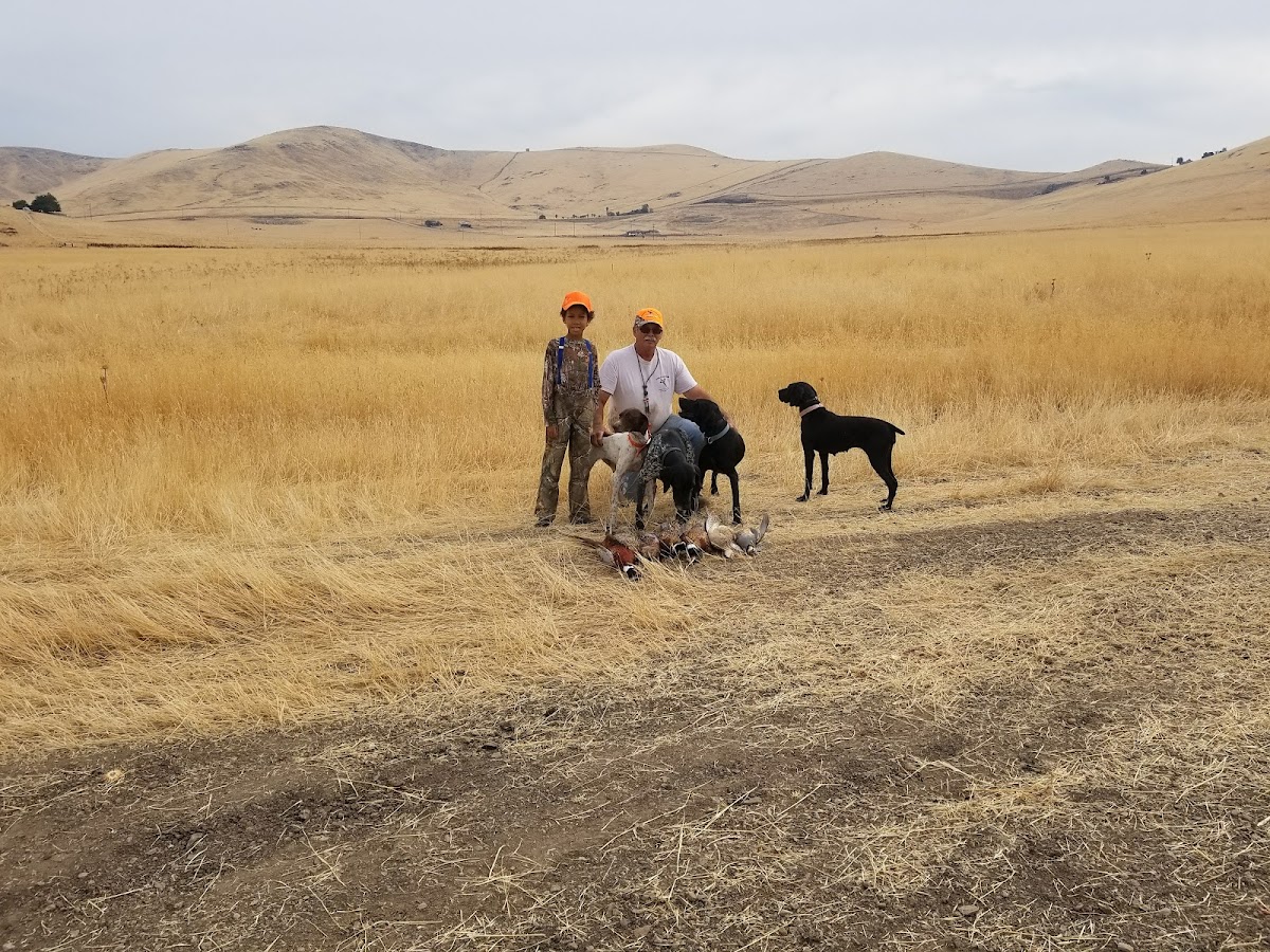 Guns & Roosters Hunting Preserve