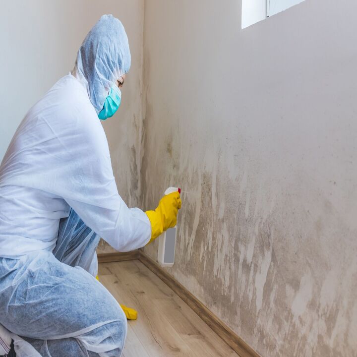 Toxic-Free Mold Removal — photo