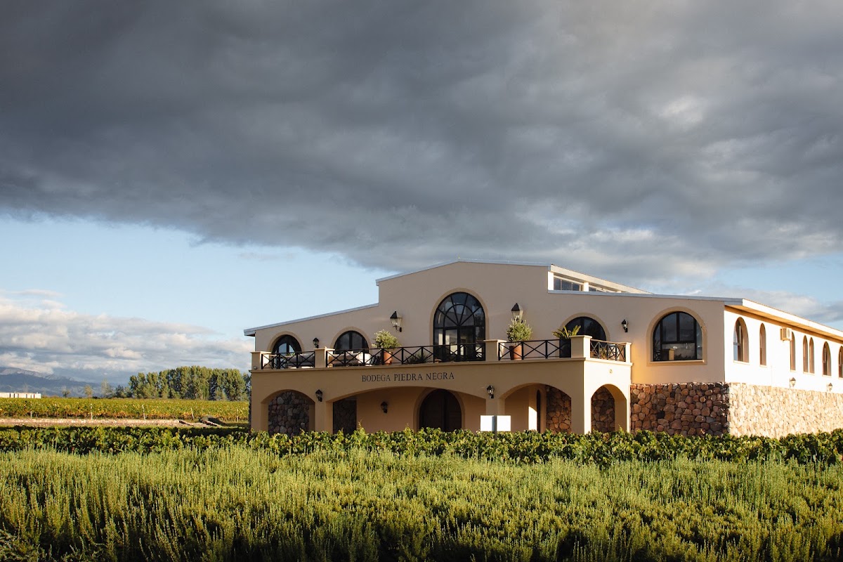 Winery Black Stone (Lurton)