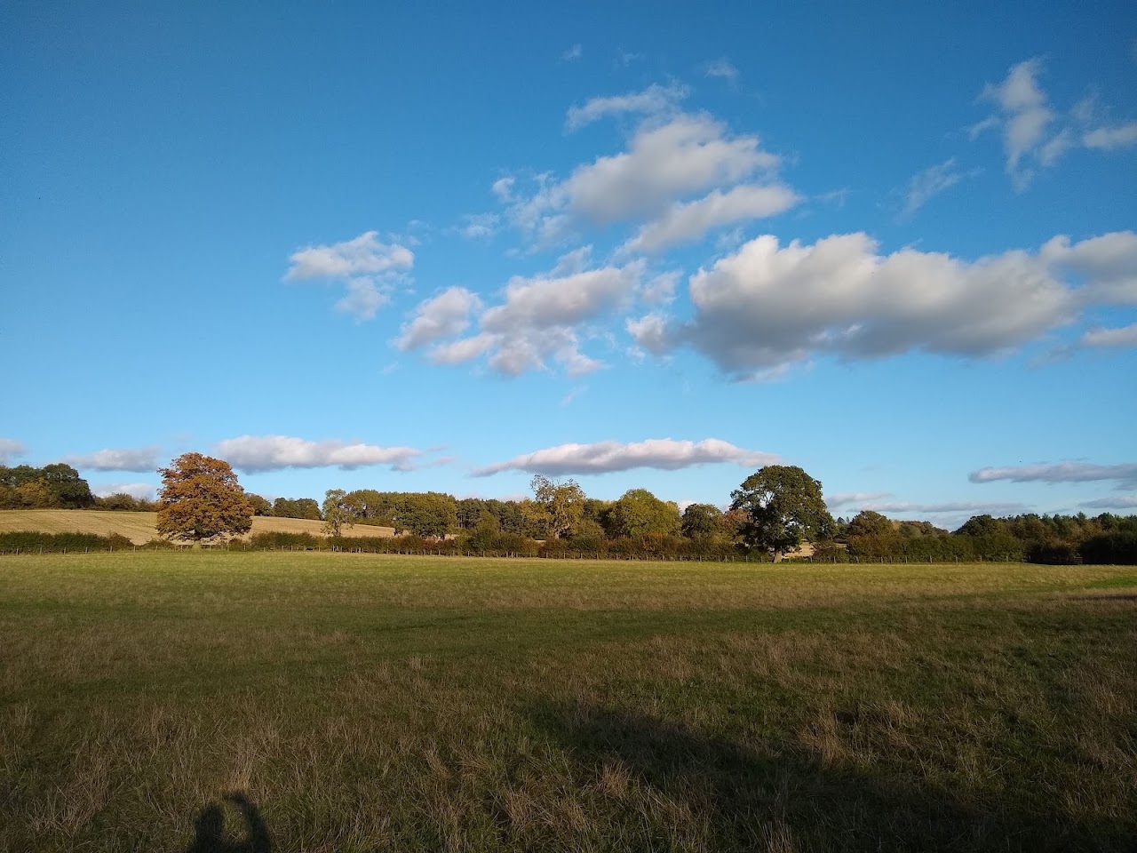 Umberslade Estate