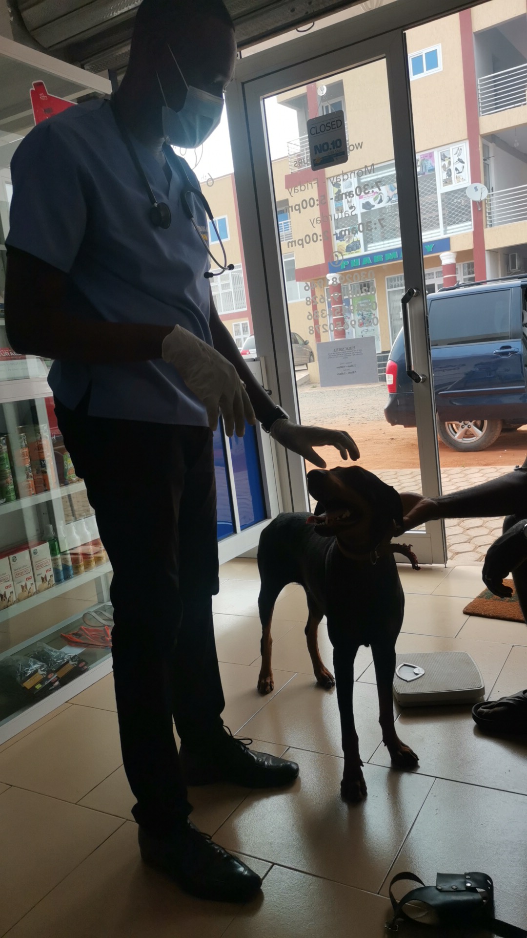 6th Street Veterinary Limited