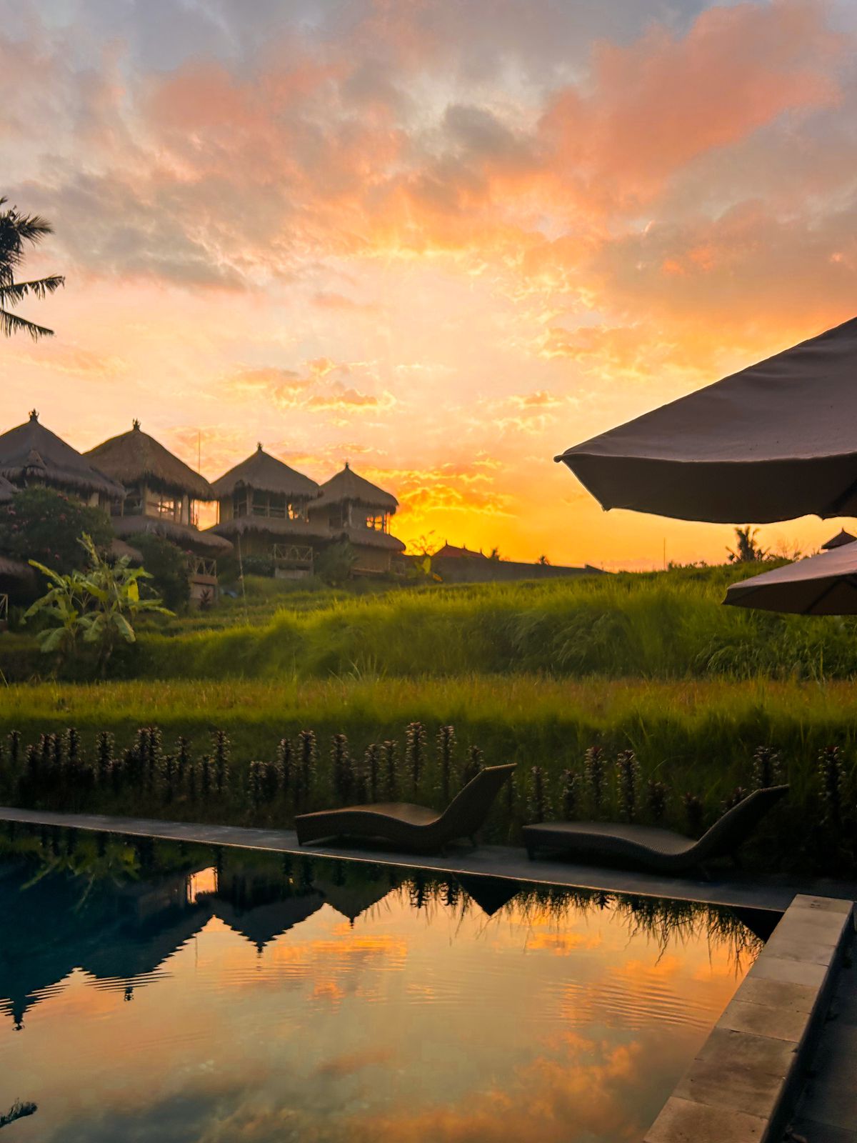 Shades of Yoga - Yoga Teacher Training Bali — 3
